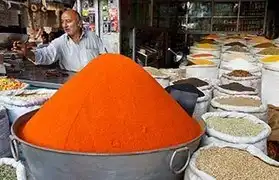 Places where Urdu is spoken