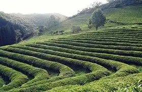 Places, Where Korean is spoken