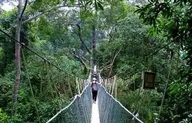 Places, Where Malay is spoken