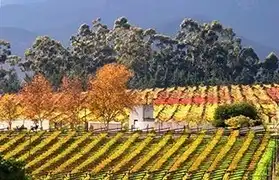 Places, Where Afrikaans is spoken