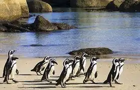 Places where Afrikaans is spoken