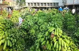 Places, Where Malayalam is spoken