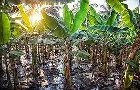 Places where Kannada is spoken