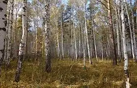 Places where Finnish is spoken