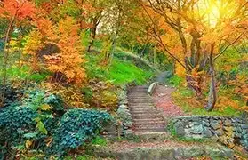 Places, Where Georgian is spoken