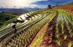 Places, Where Thai is spoken