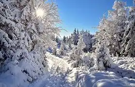 Places, Where Polish is spoken