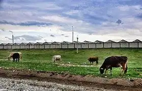 Places, Where Adyghe is spoken