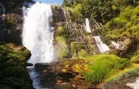 Places where Thai is spoken