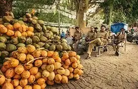 Places, Where Malayalam is spoken