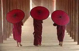 Places where Vietnamese is spoken