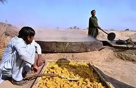 Places where Urdu is spoken