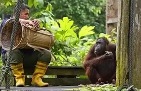 Places, Where Malay is spoken