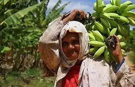 Places, Where Portuguese BR is spoken