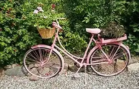 Places where Danish is spoken