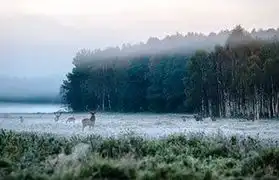 Places, Where Belarusian is spoken