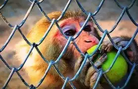 Places, Where Urdu is spoken