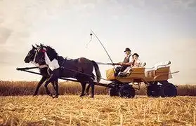 Places, Where Serbian is spoken