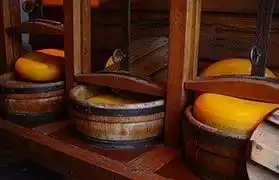 Places where Dutch is spoken