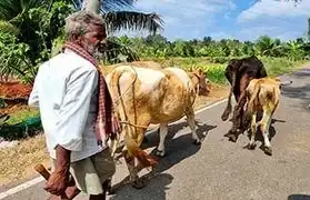 Places, Where Kannada is spoken