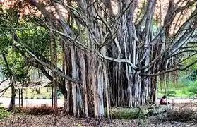 Places, Where Kannada is spoken