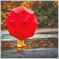 rot | ein roter Regenschirm
