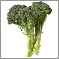 el brócoli