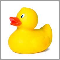 rubber duck / laruang pato