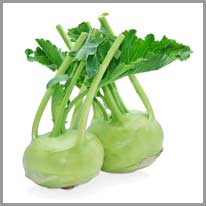 cabbage turnip