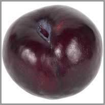 plum